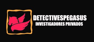 Detectives Pegasus